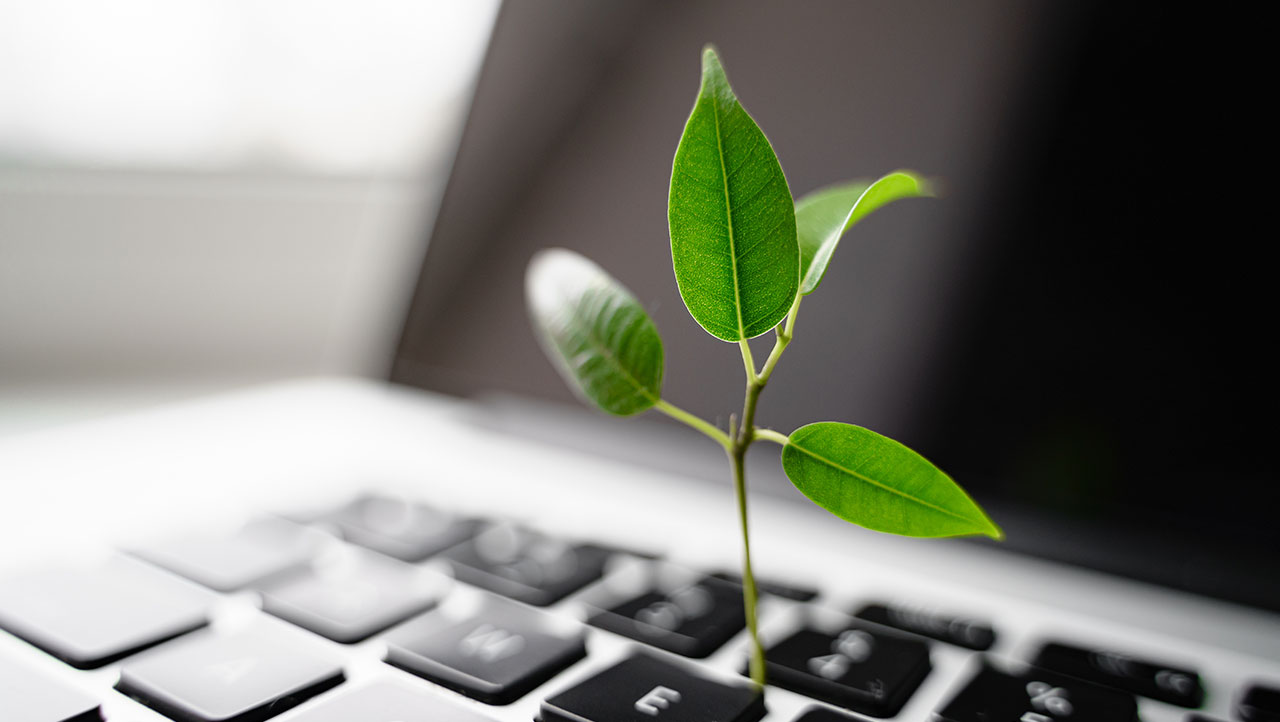 Plant sprouting out of laptop keyboard