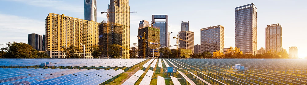 High rise buildings behind ground solar panels