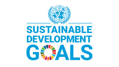 UN Sustainable Development Goals EN