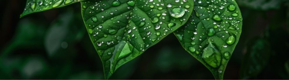 ESG en Duurzaamheid ESG en Duurzaamheid