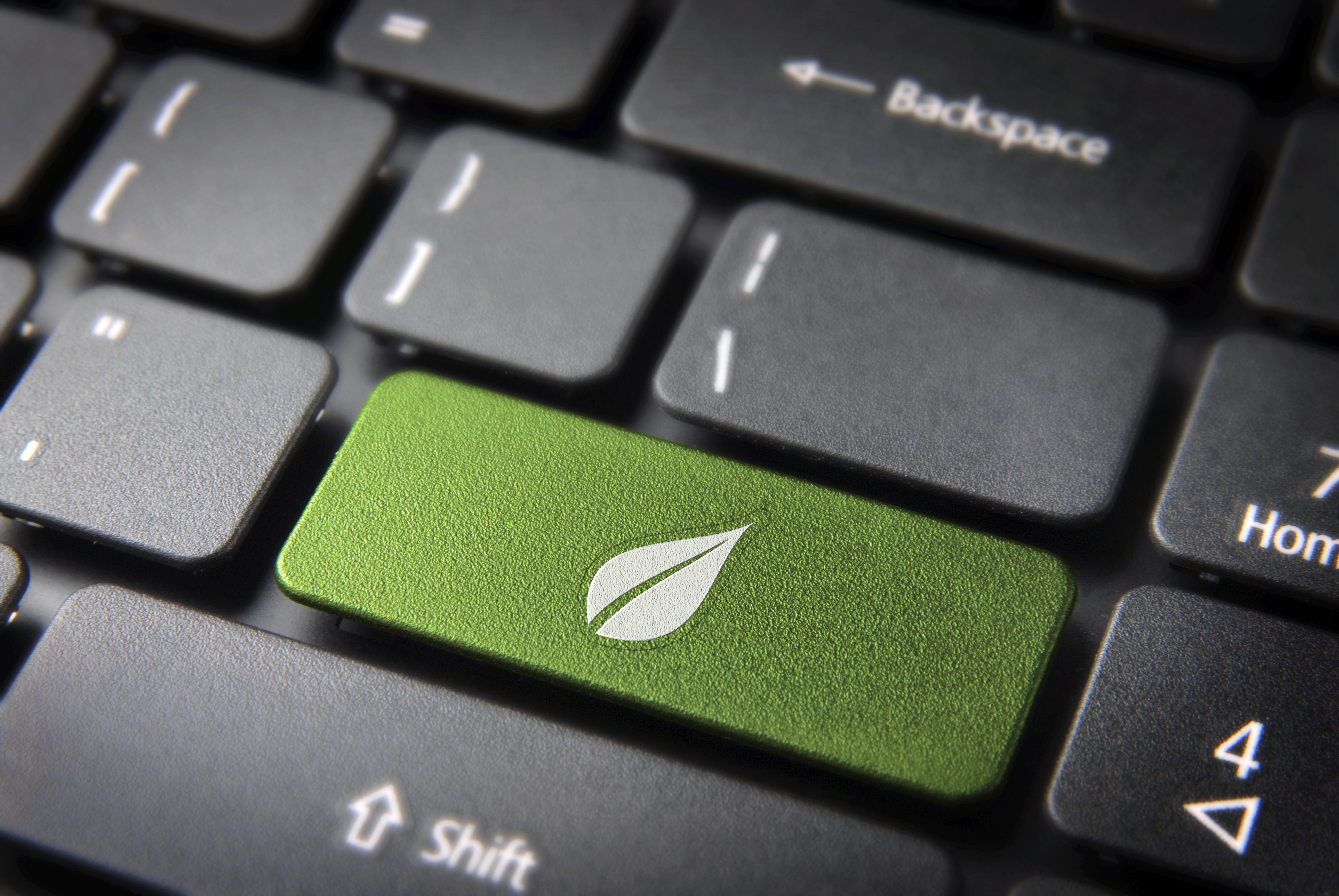 Laptoptastatur mit einer grünen Pflanzen-Taste
