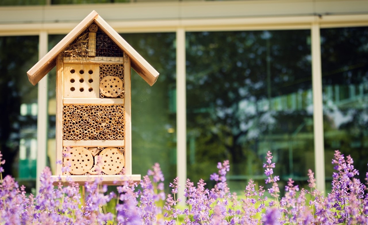 Bee hotel