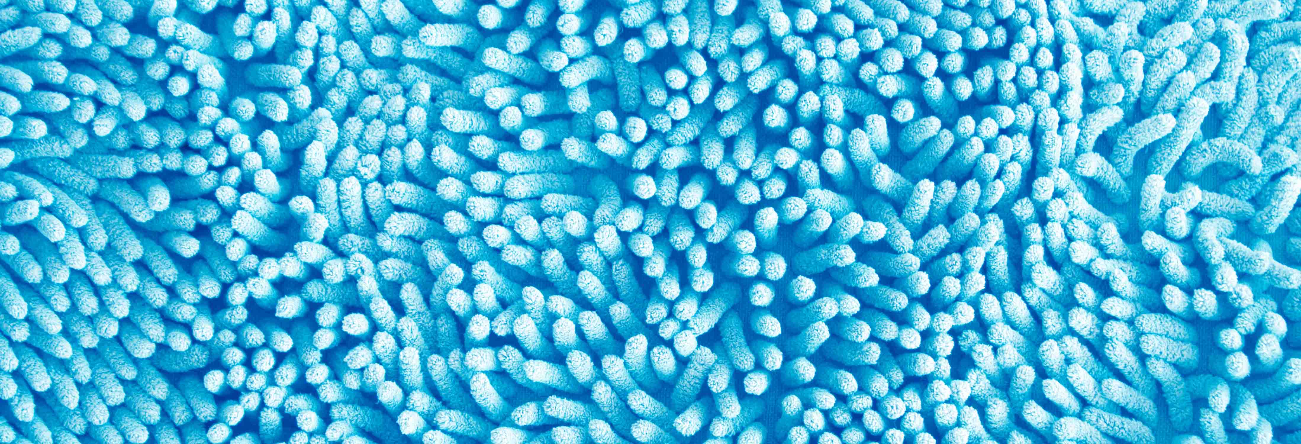 Blue algae abstract Blue algae abstract