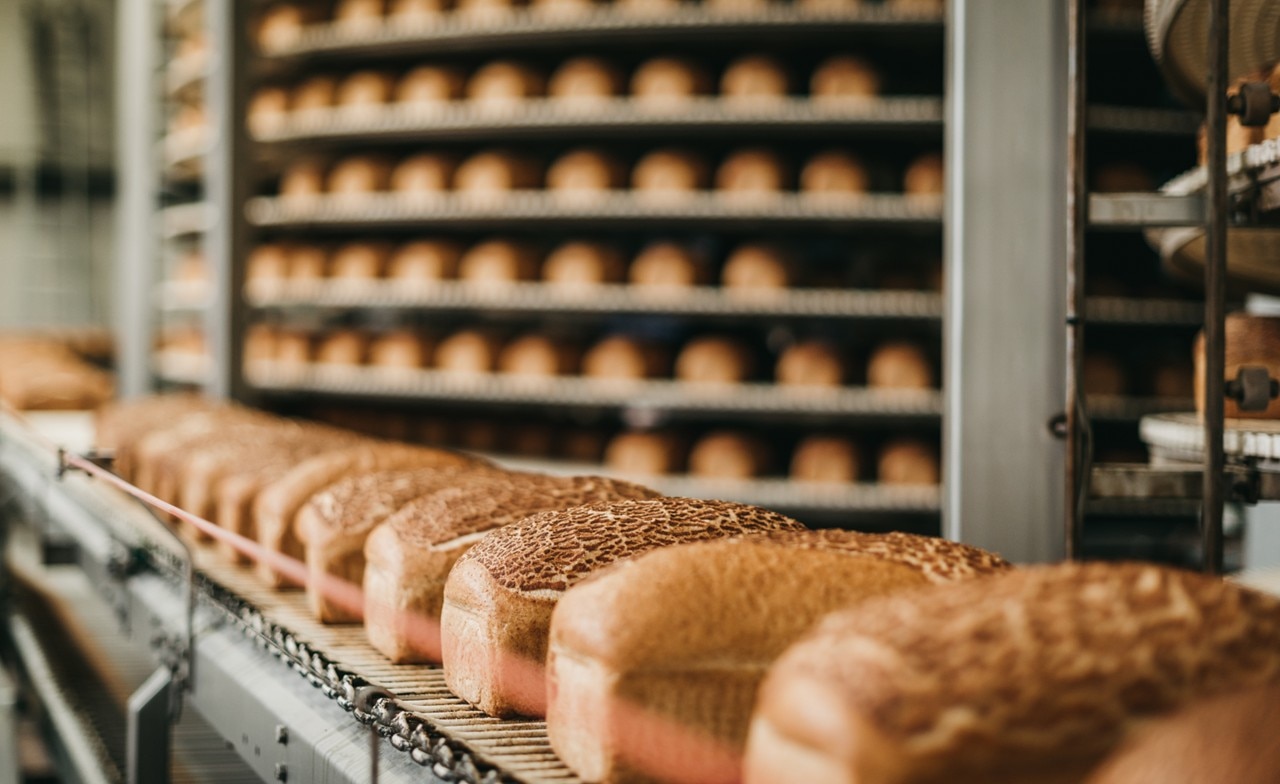 Bread on the production line