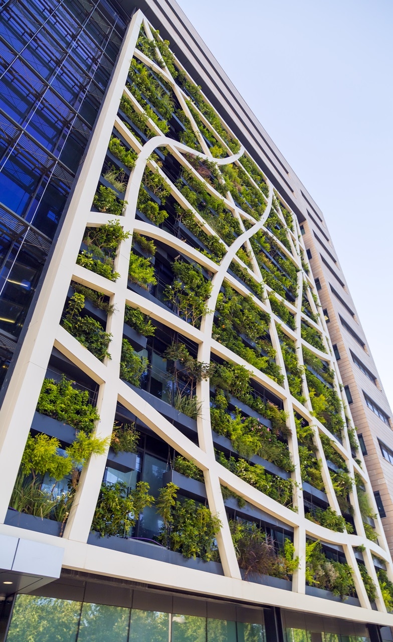 building-with-plants-216805101 Building with plants