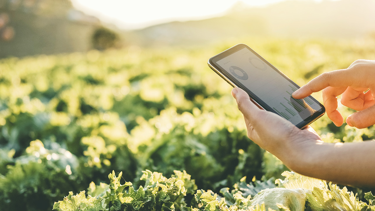 Monitoring crop growth with a hand held device