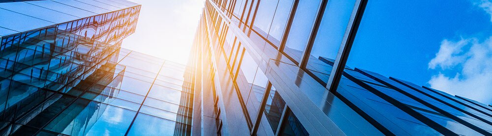 2020 CGI Client Global Insights for Capital Markets