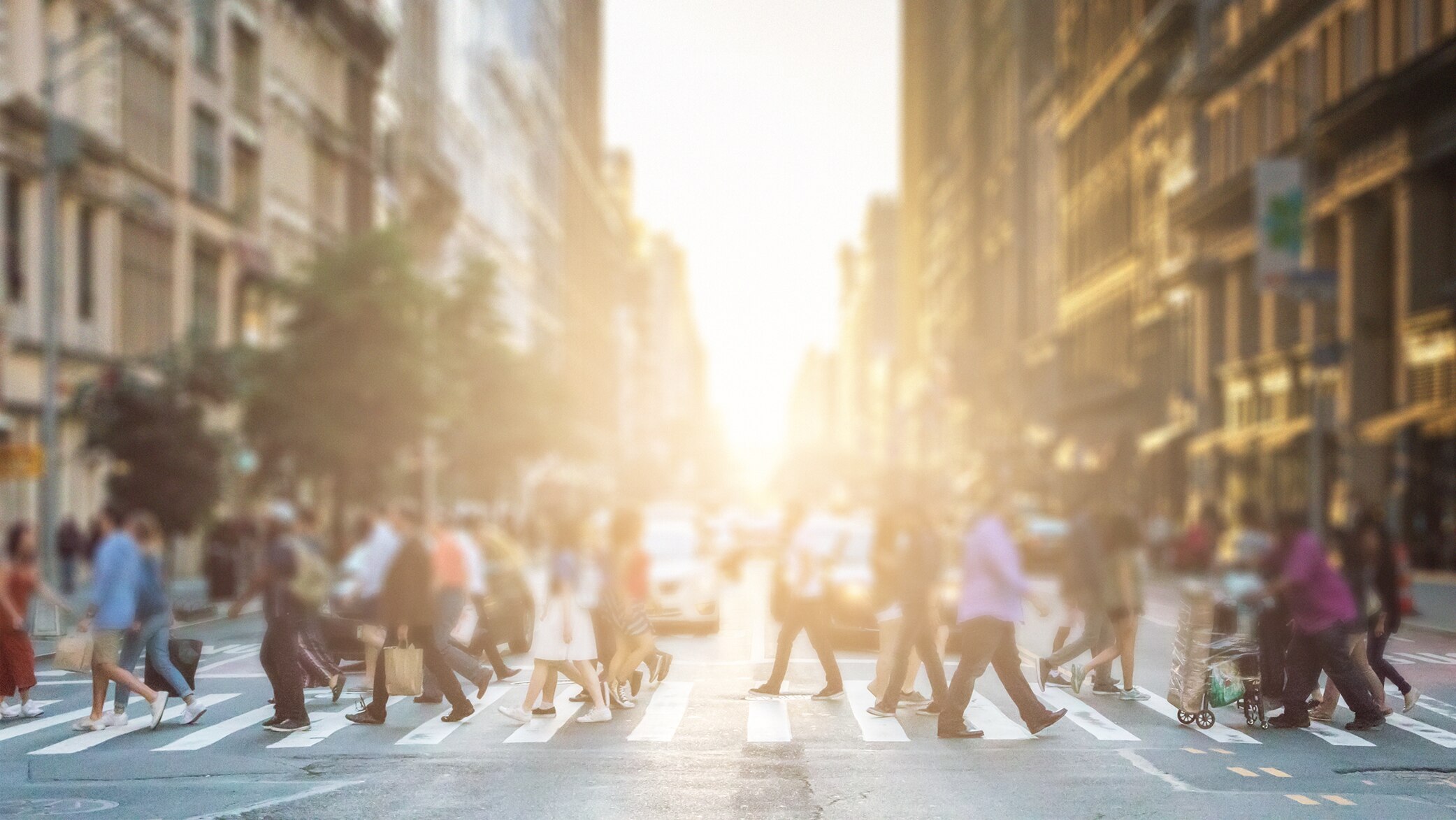 Gestion de crise dans le secteur public : planification des technologies dans la phase de ...