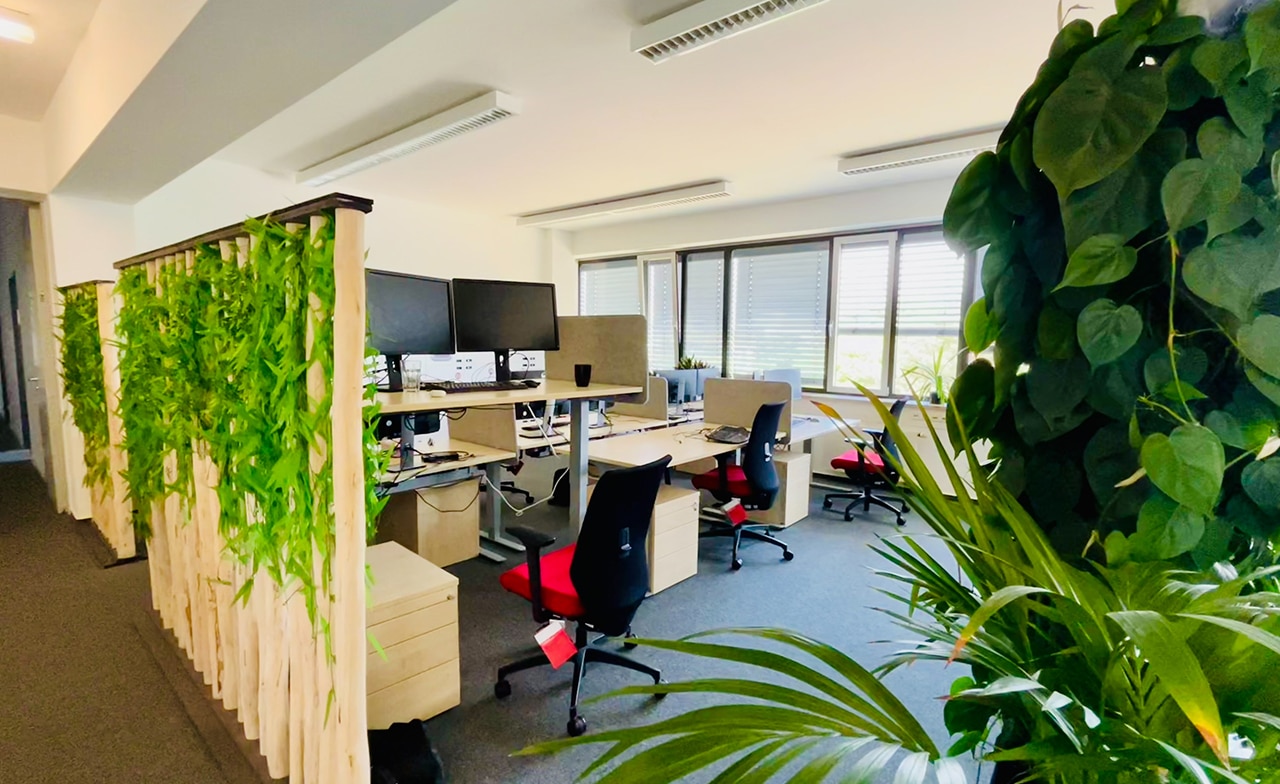 CGI Darmstadt, Arbeitsbereich