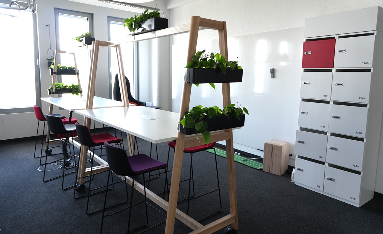 CGI Köln, Arbeitsbereich