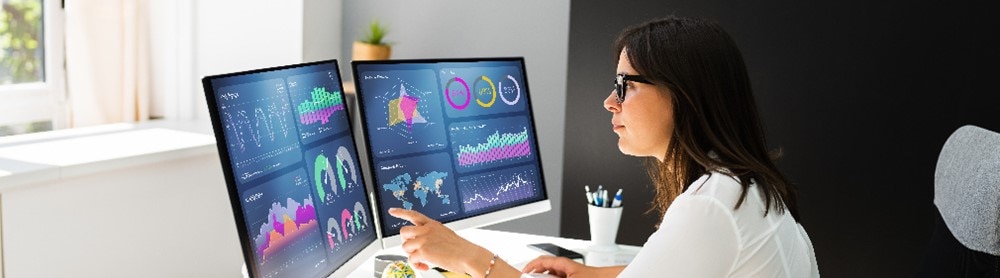 Consultant points to data on screen