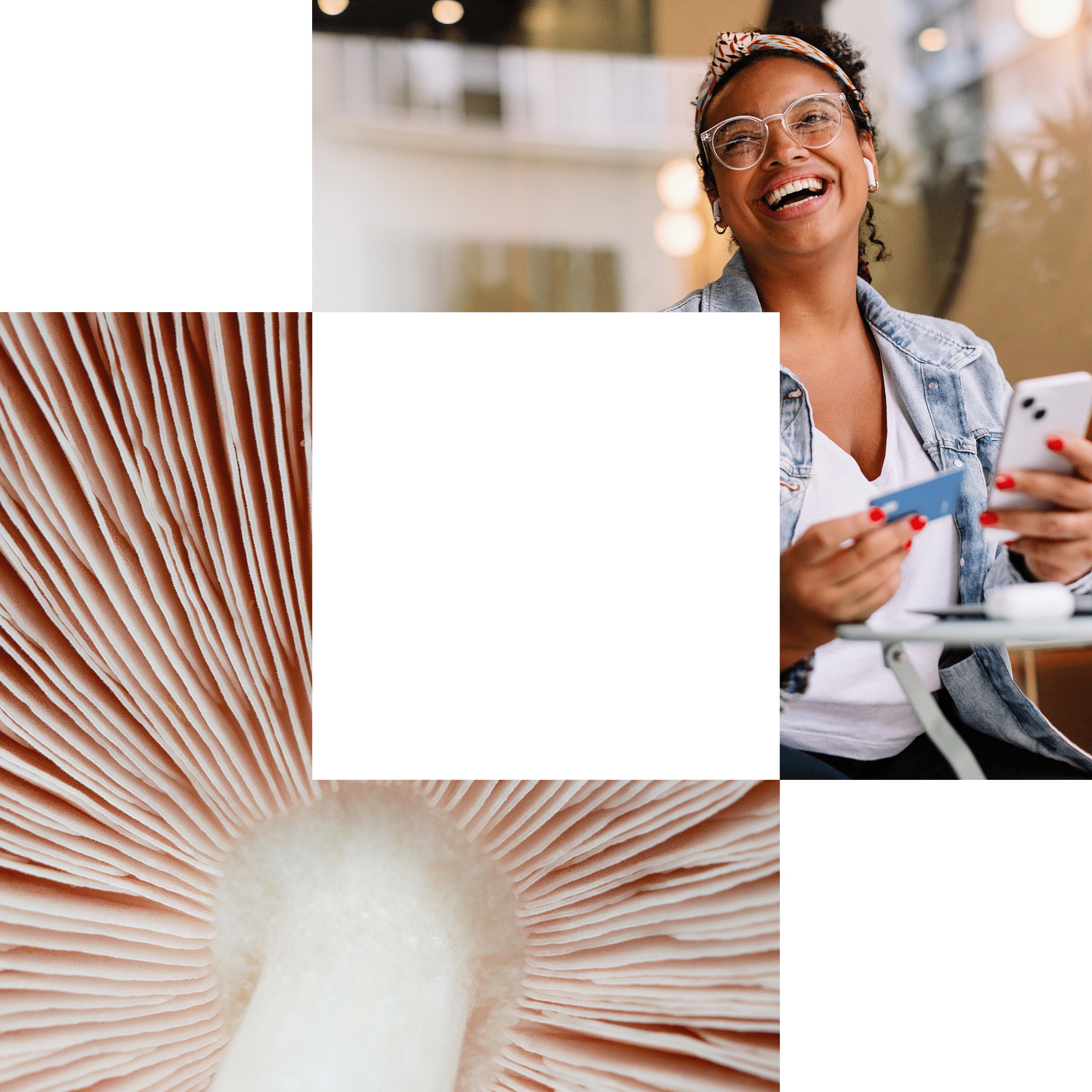 Extending AI-enabled delivery to credit-card modernization while reducing costs 