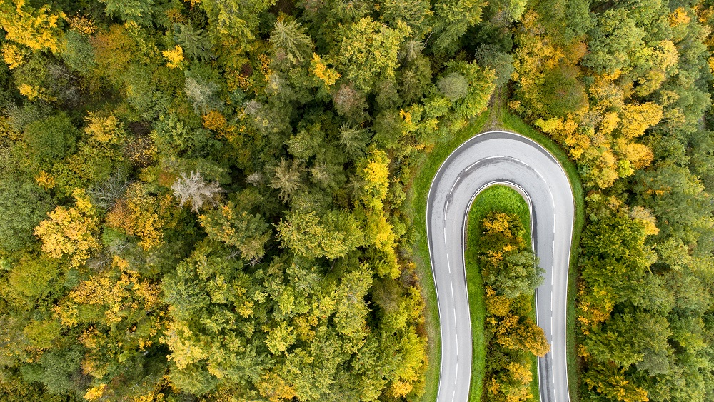 Aeriel view of a curving road through the forest