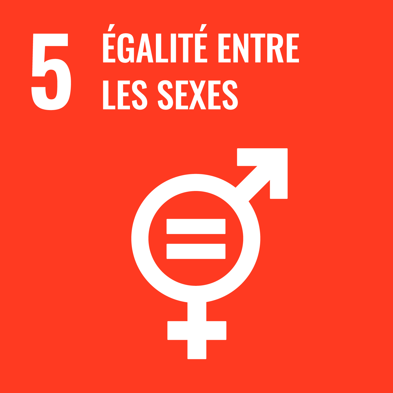 Réaliser l’égalité des sexes et autonomiser toutes les femmes et les filles