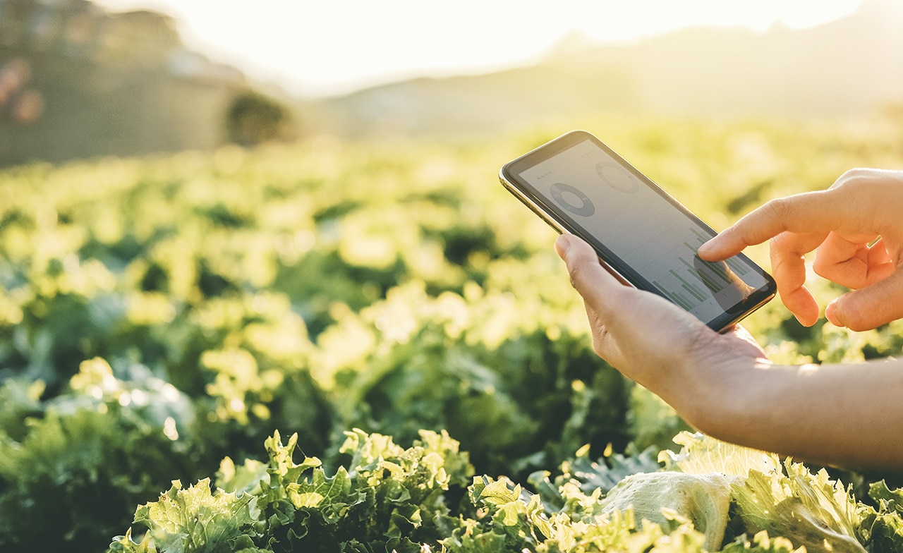CGI selected by France’s Ministry of Agriculture, Agri-Food and Food Sovereignty to support it in modernizing its information system
