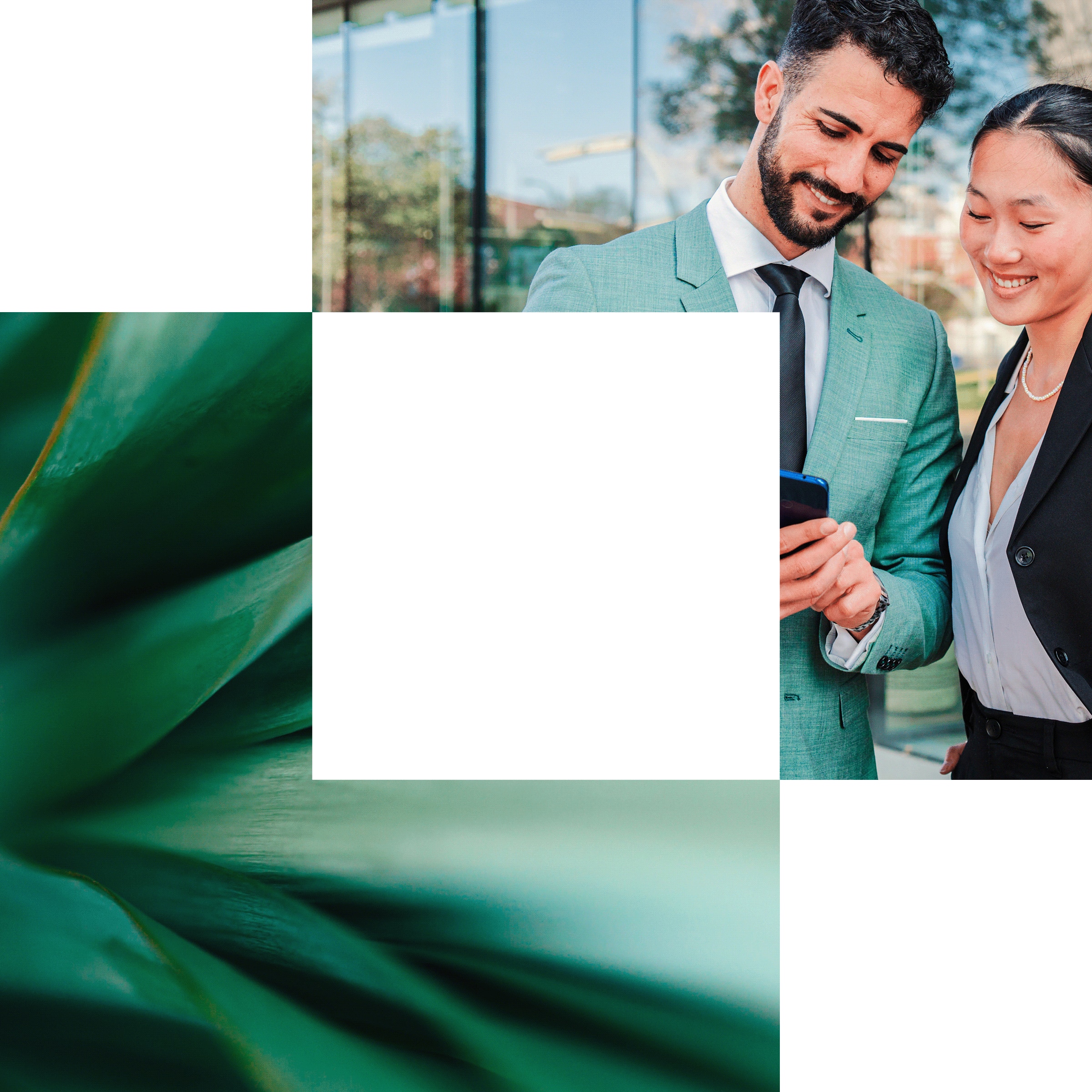 Explore our Green IT services