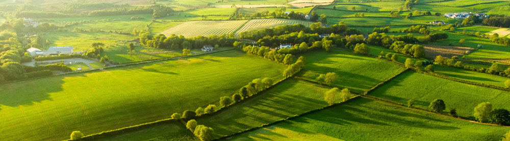 Farmland and fields in a rural environment setting