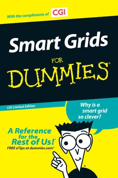 Smart Grids for Dummies