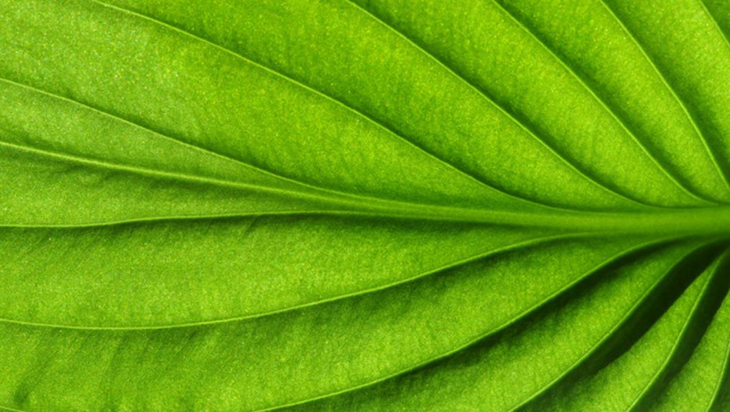 Chromatique Green – Finance Durable