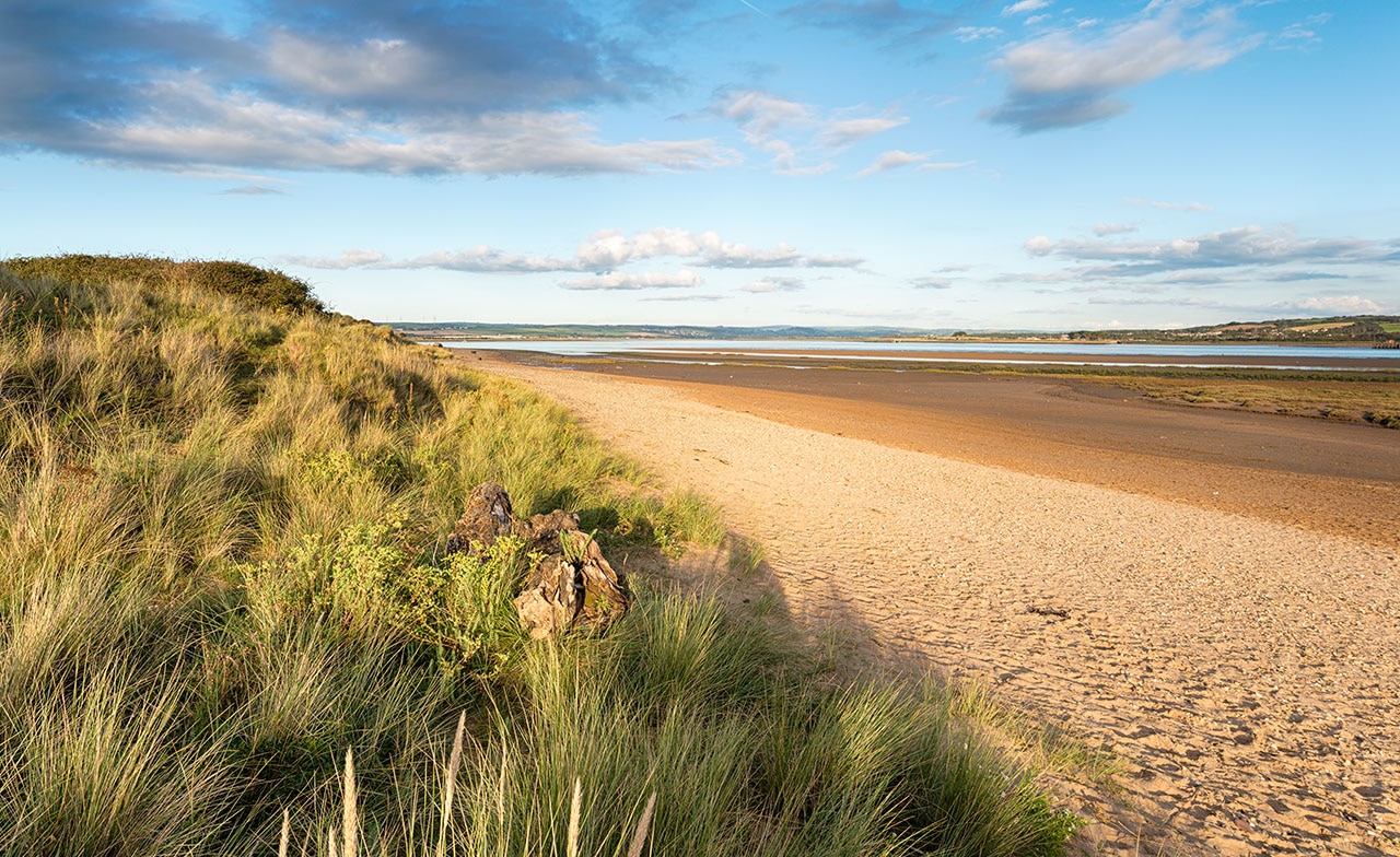 Braunton Burrows beach and sand dunes North Devon UNESCO Biosphere reserve 
