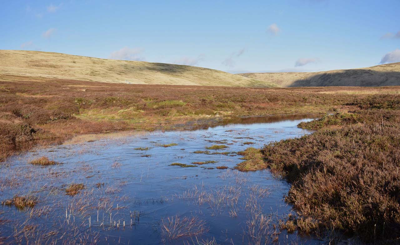UK peatlands