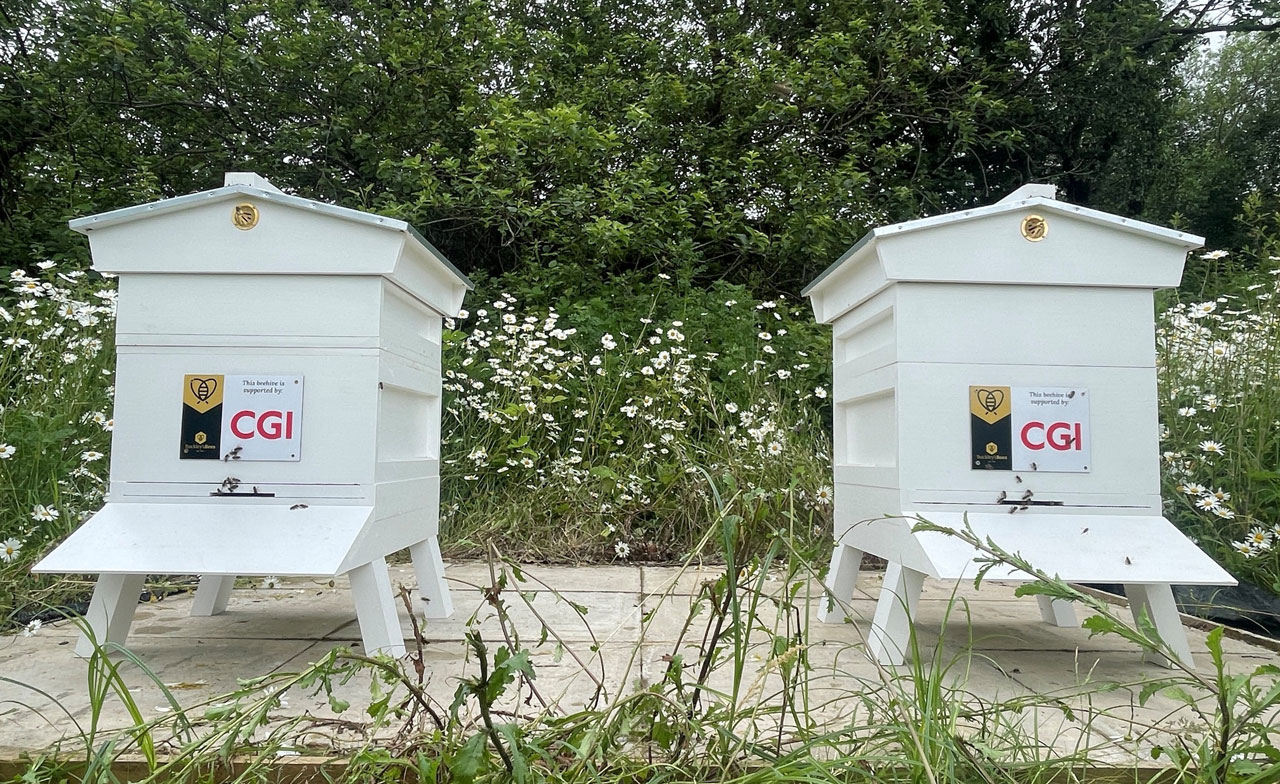 CGI Bee Hives from Buckley's Bees