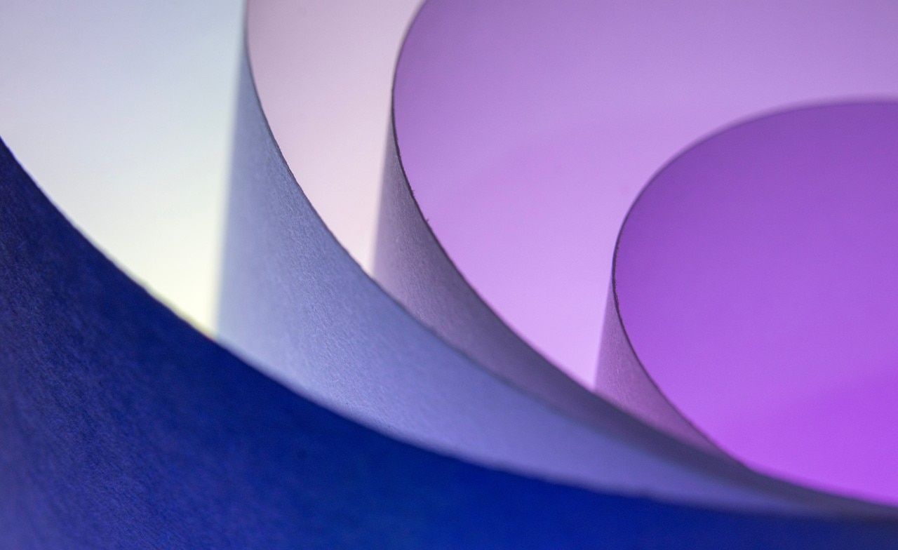Abstract close-up of curled layered curves