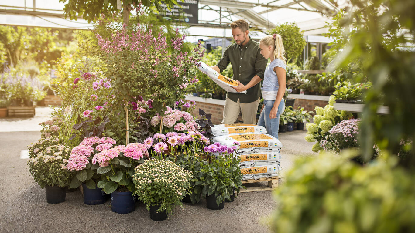 Kuvituskuva: kaksi henkilöä seisoo kasvimyymälässä
