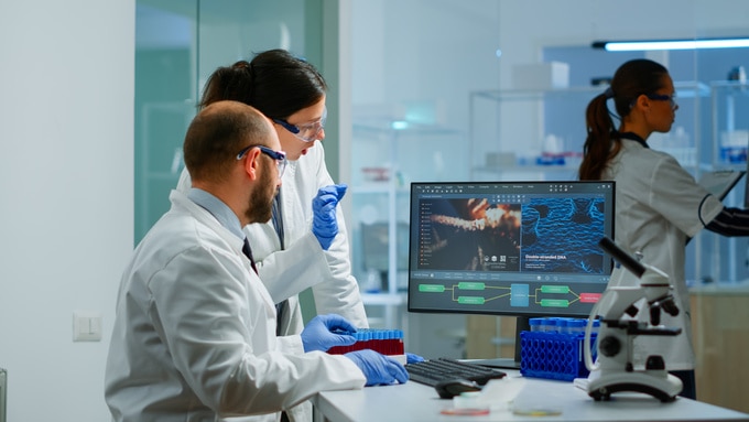 medical professionals data computer medical professionals looking at data on a computer in a lab