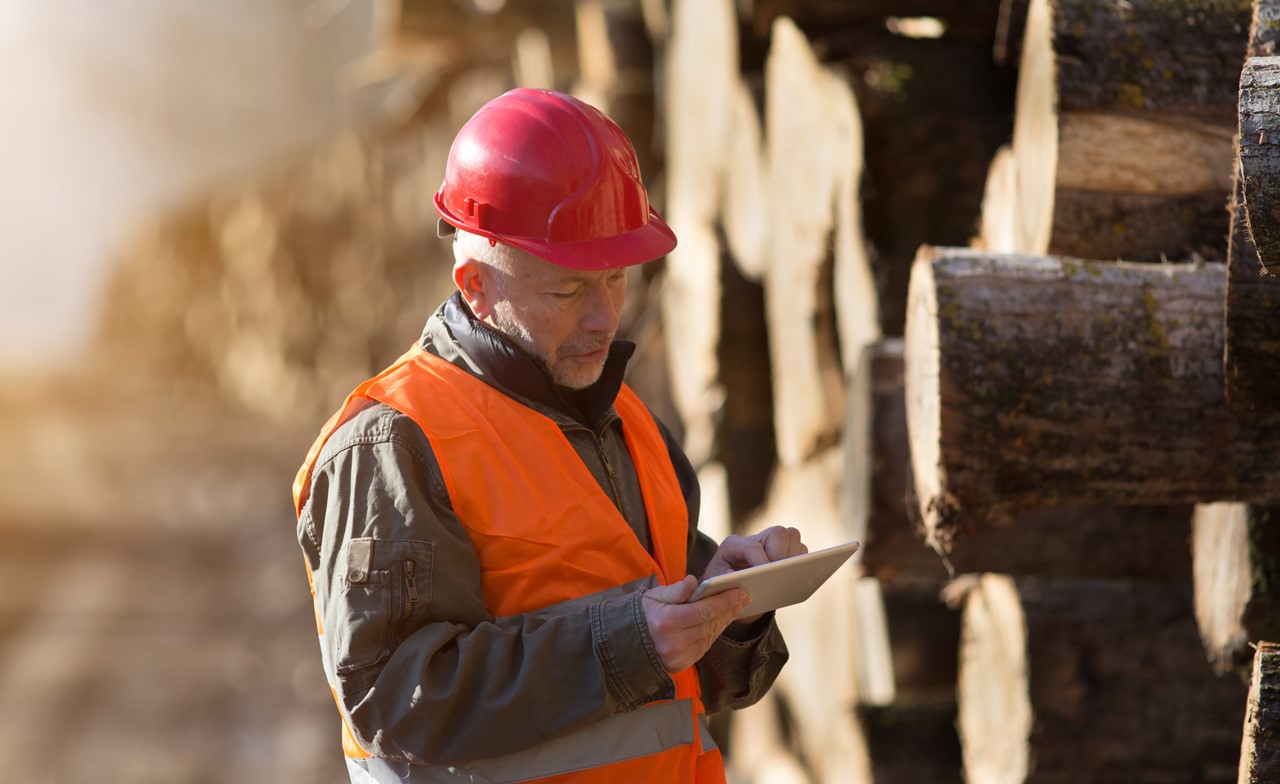 Ingénieur forestier travaillant sur une tablette