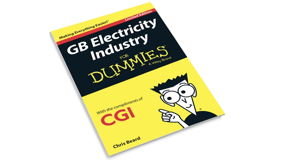 GB Electricity Industry For Dummies CGI UK