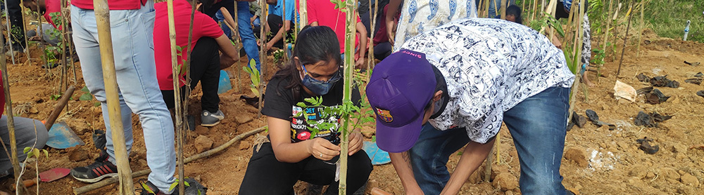 CGI employees help plant trees, representing our ESG volunteering efforts