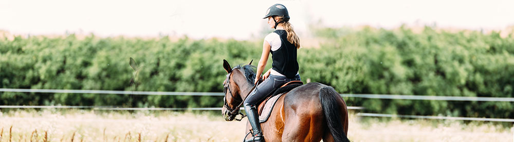 Woman riding horse in field