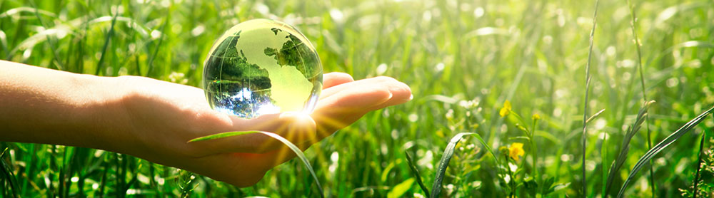 Female hand holding a transparent globe in the middle of a grass meadow in the full sunshine