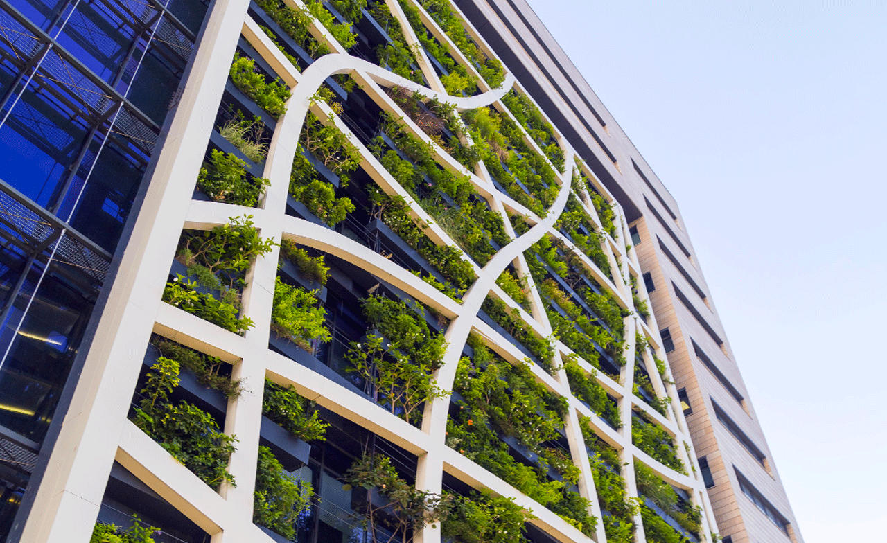 plants growing out of building