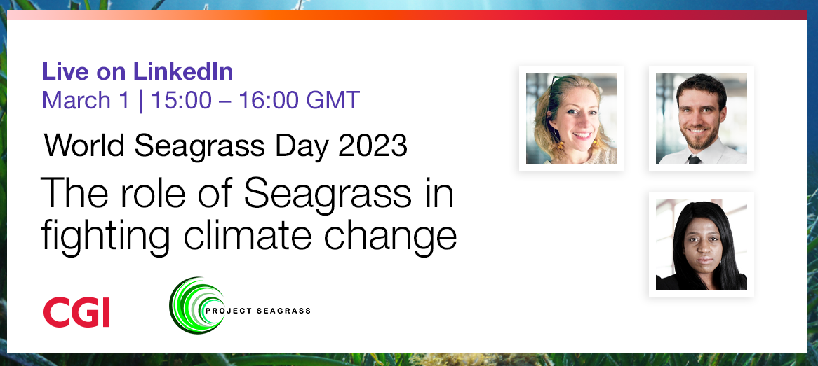 World Seagrass Day LinkedIn Live