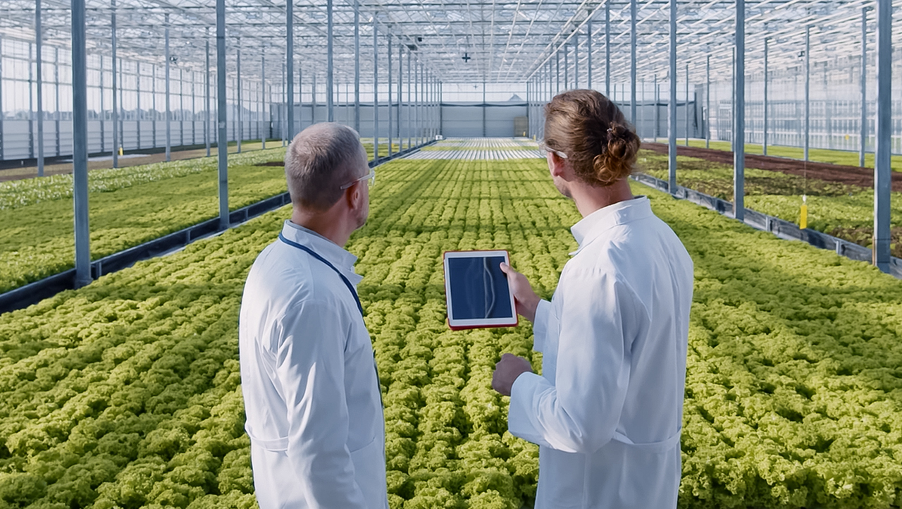 Researchers using CGI's cloud modernization and transformation services for sustainable crop management