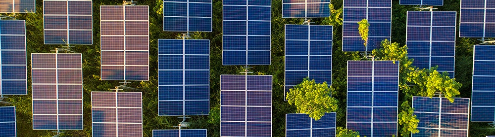 Solar farm in a forest Solar farm in a forest