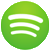 Spotify Podcast Icon