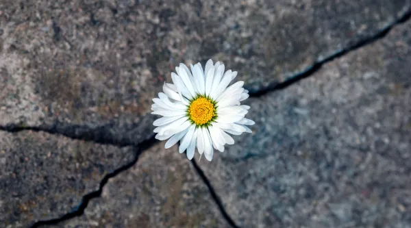 Mitä tarkoittaa digitaalinen suvereniteetti?