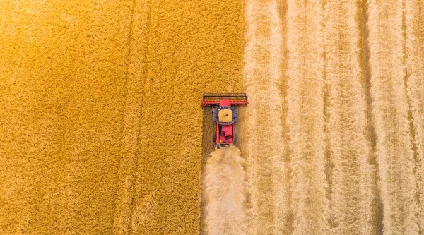 aerial_view_harvesting