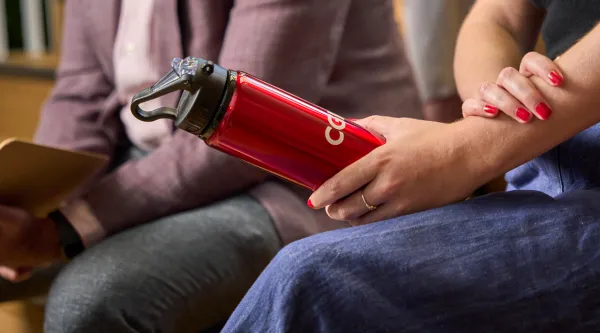 Early Careers application process