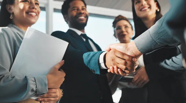 Professionals handshake on success