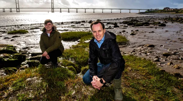 two men crouching in severn estuary seagrass meadow