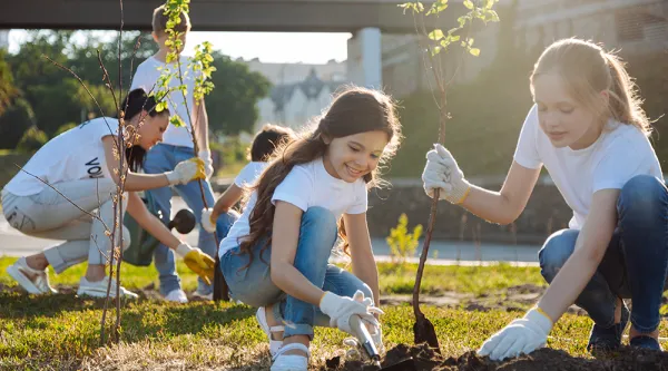 children planting trees on a sunny day