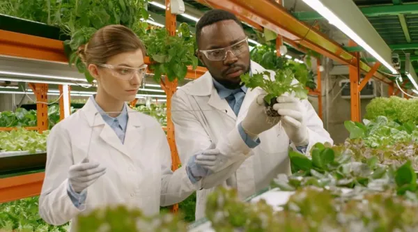 male and female scientists examine small plant in inside farm