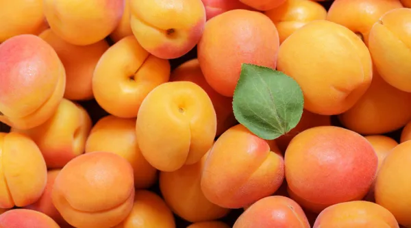 Webinaarissa 13.1. etsimme keinoja siihen, mistä säästöjä ja tehokkuutta julkishallintoon.