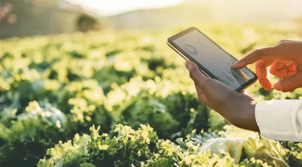 Person a tablet overlooking a vegetable garden - CGI 2021 CSR Report