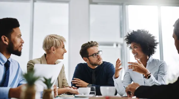 professionals in a meeting