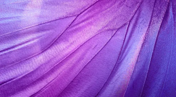 Kuvituskuva: lähikuva liila abstrakti kuvio